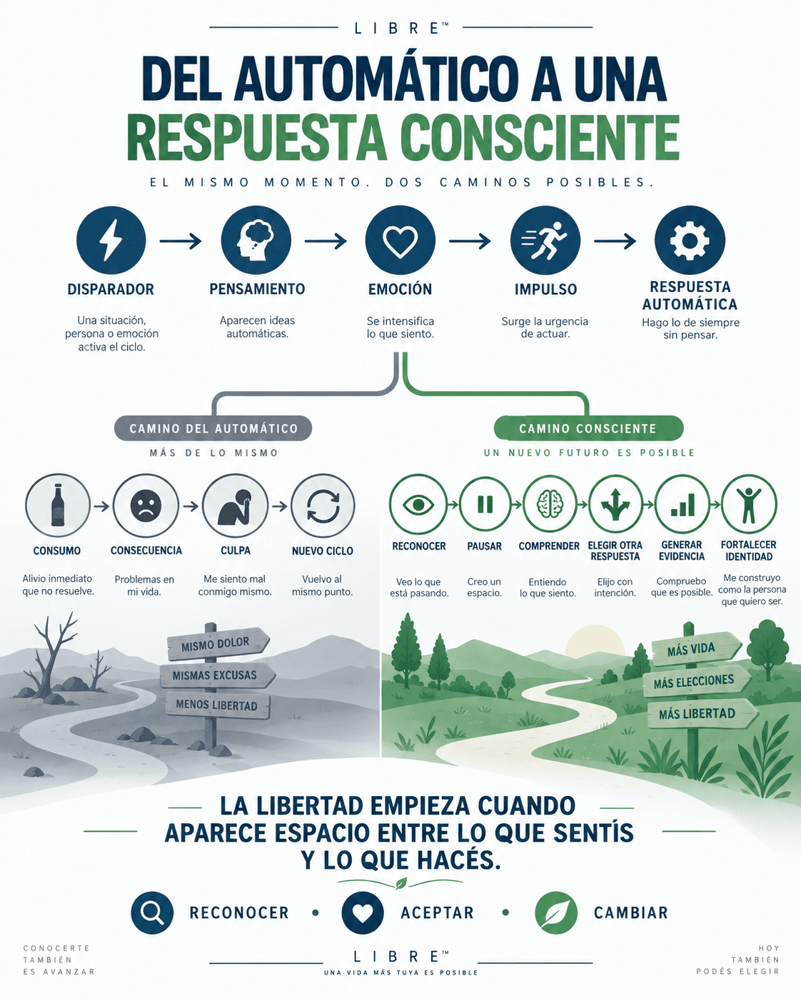 Diagrama: Mapa completo de LIBRE